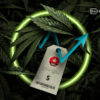 Role of pricing in Canadian and American weed markets industry report