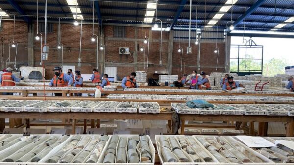 Vizsla Silver increases measured and indicated resources at Panuco project